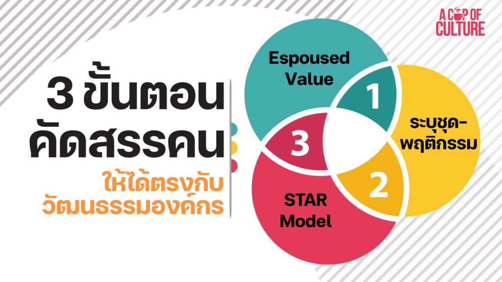 3 ขั้นตอนสรรหาคน ให้ได้ตรงกับวัฒนธรรมองค์กร - Brightside People